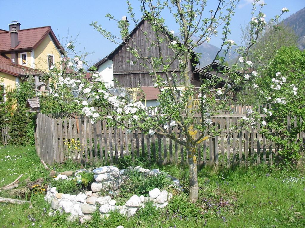 Ferienwohnung Am Pflanzgarten Ebensee Zewnętrze zdjęcie